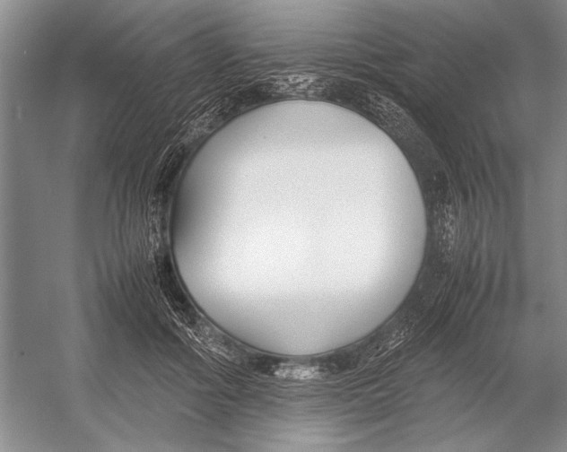 X0000052970602200508051016