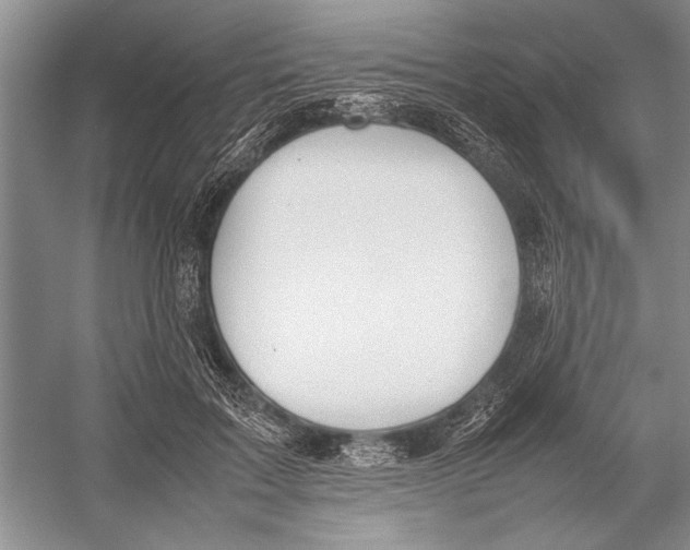 X0000052970603200508051016