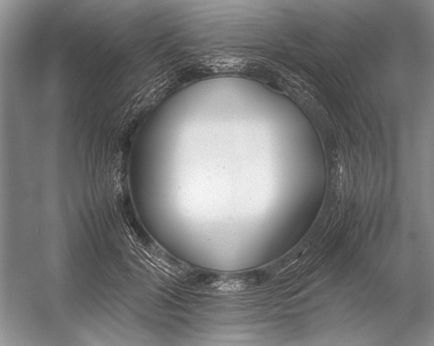 X0000052970604200508051016