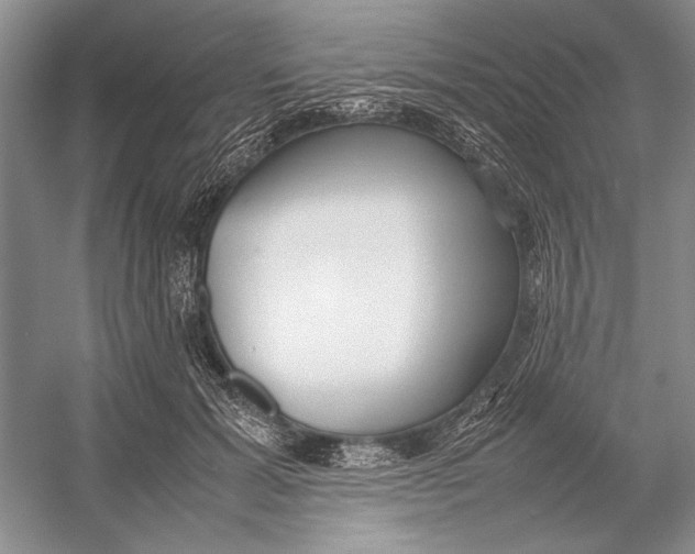 X0000052970605200508051016