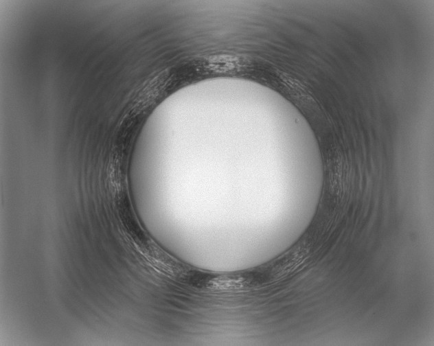 X0000052970606200508051016