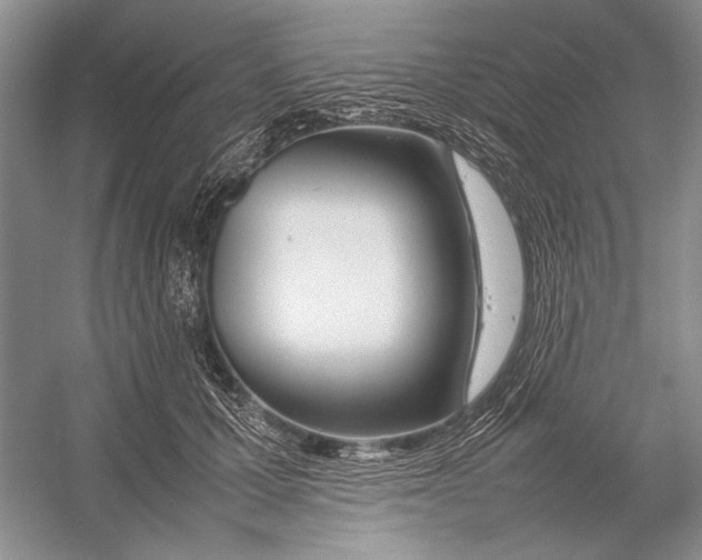 X0000052970607200508051016