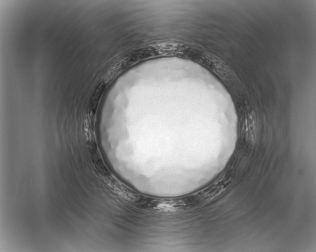 X0000052970610200508051016