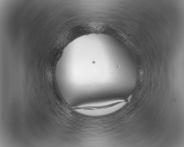 X0000052970613200508051016