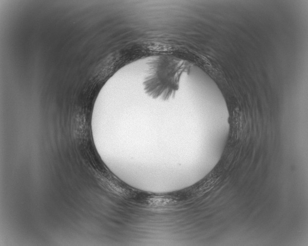 X0000052970614200508051016