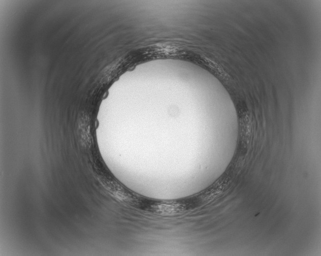 X0000052970615200508051016