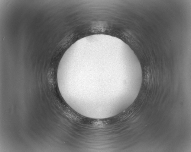 X0000052970616200508051016