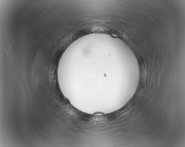 X0000052970619200508051016