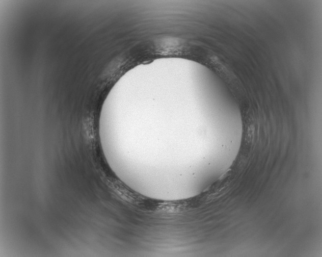 X0000052970620200508051016