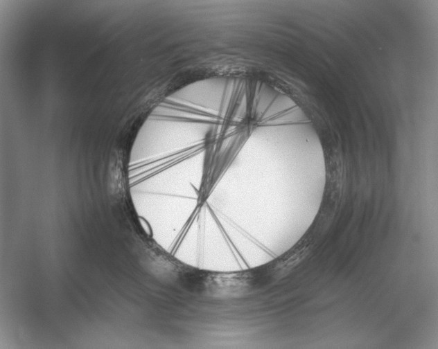 X0000052970622200508051016