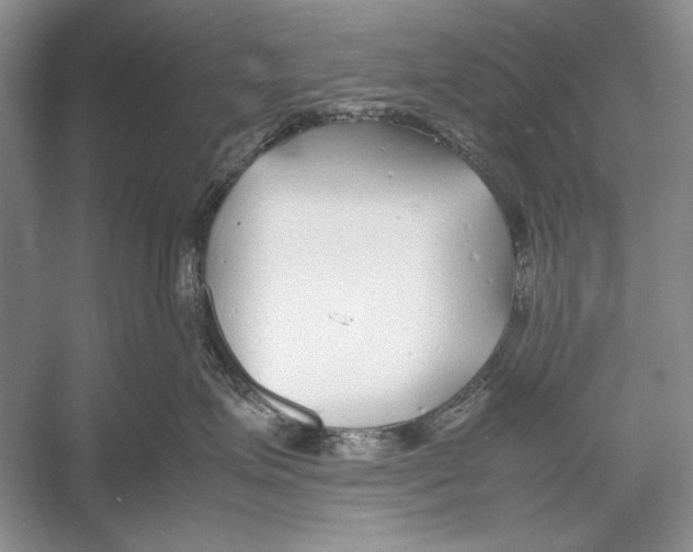 X0000052970623200508051016