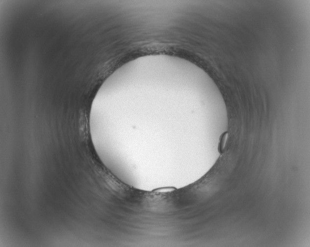 X0000052970624200508051016