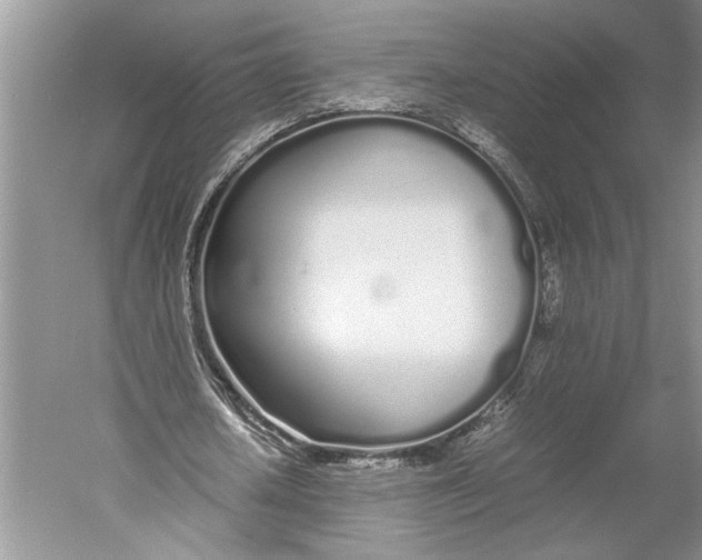 X0000052970626200508051015