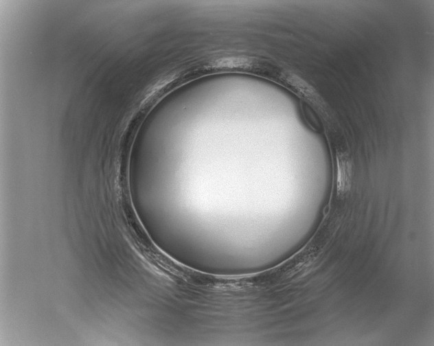 X0000052970627200508051015