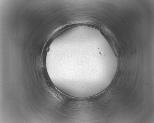 X0000052970628200508051015