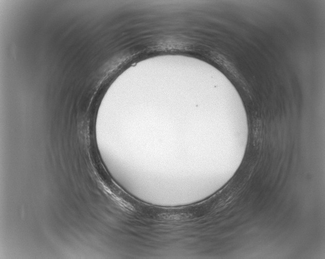 X0000052970629200508051015