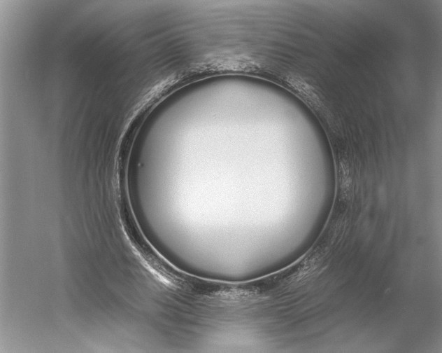 X0000052970630200508051015