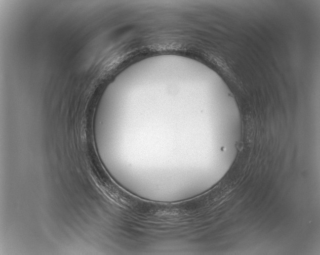 X0000052970631200508051015