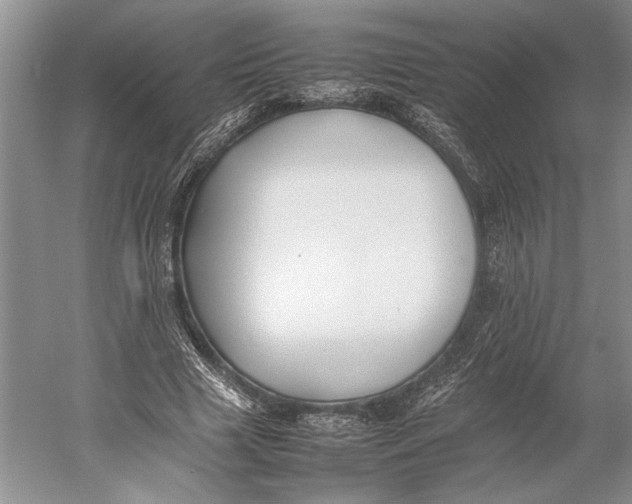 X0000052970633200508051015