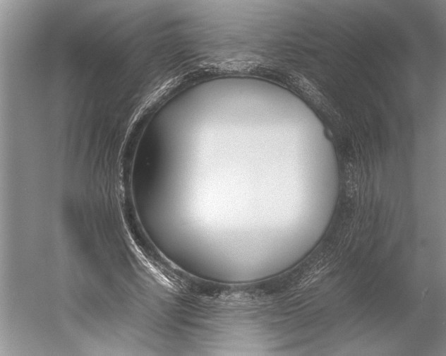 X0000052970634200508051015