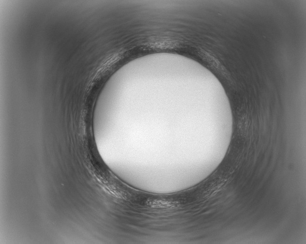 X0000052970635200508051015