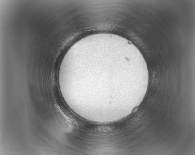 X0000052970636200508051015