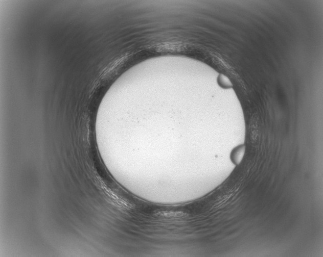 X0000052970637200508051015