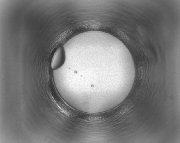 X0000052970638200508051015