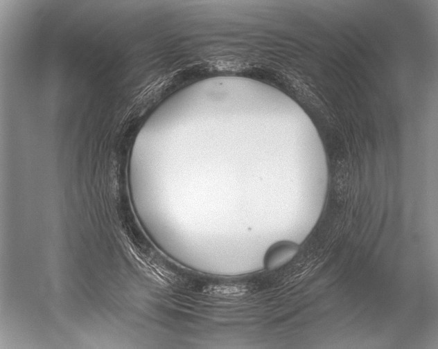 X0000052970639200508051015