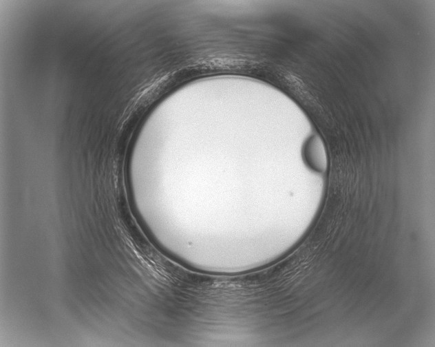 X0000052970640200508051015