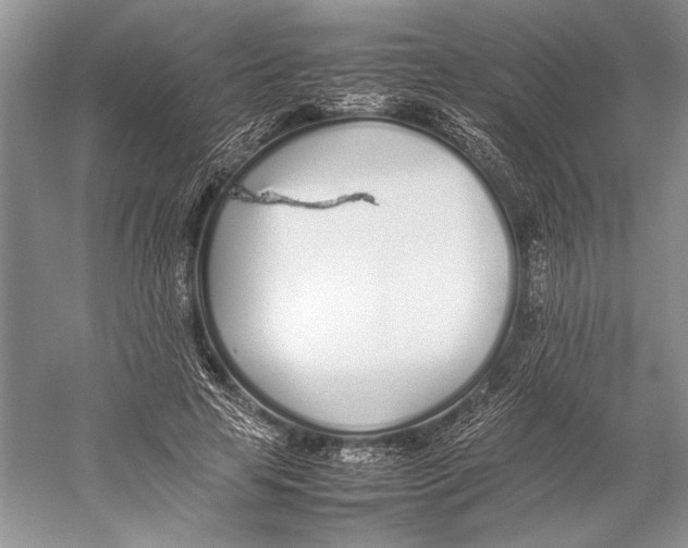 X0000052970641200508051015