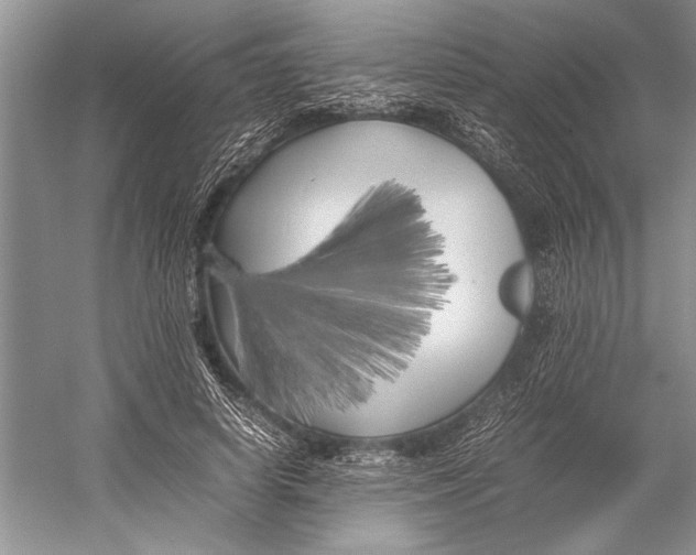 X0000052970642200508051015