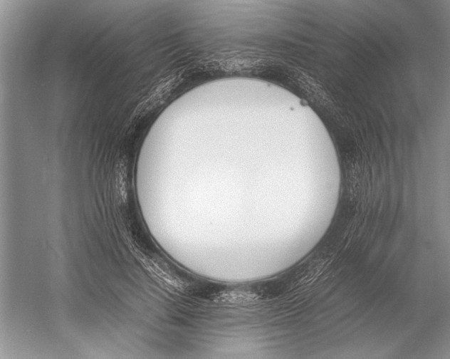 X0000052970644200508051016