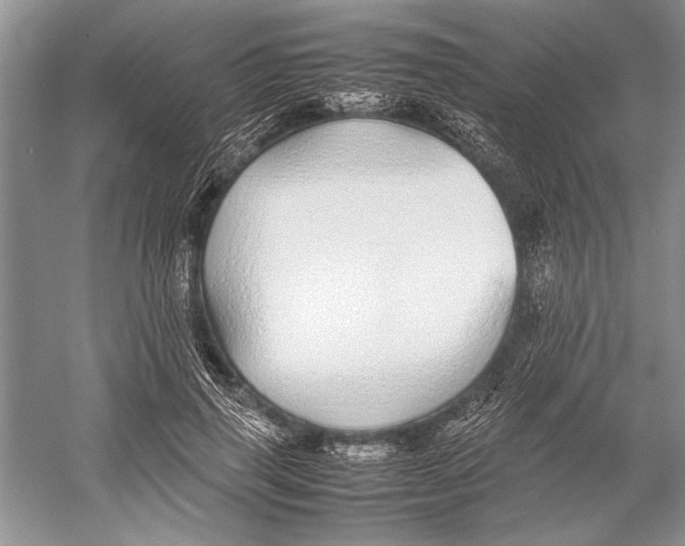 X0000052970645200508051016