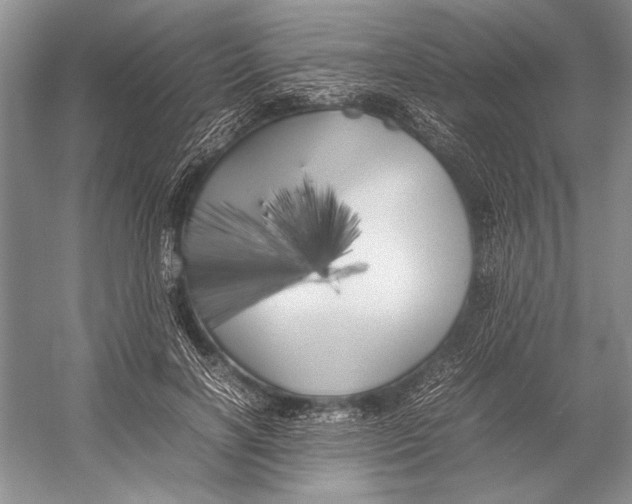 X0000052970646200508051016