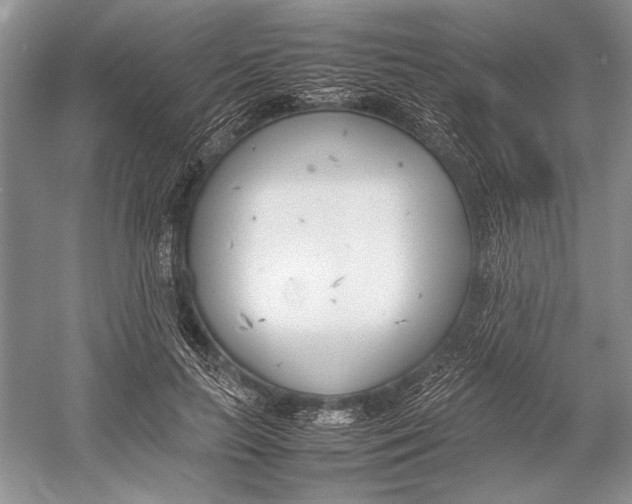 X0000052970647200508051016