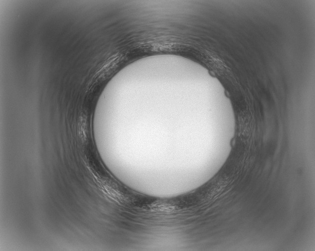 X0000052970648200508051016