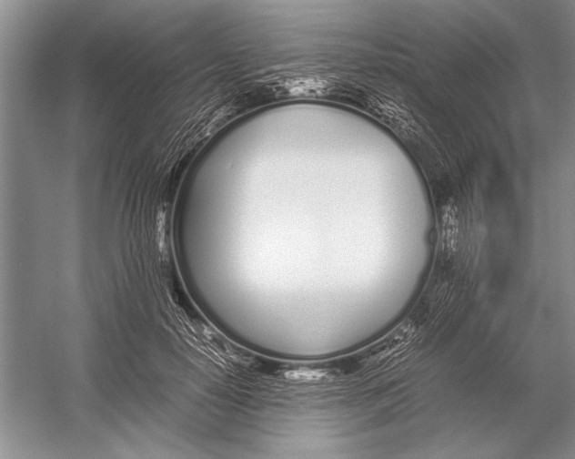 X0000052970650200508051016