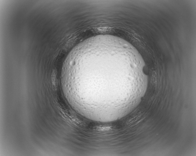 X0000052970651200508051016