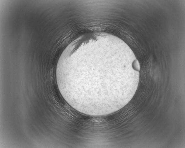 X0000052970652200508051016