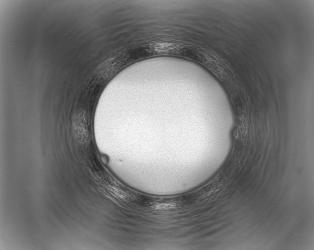 X0000052970653200508051016