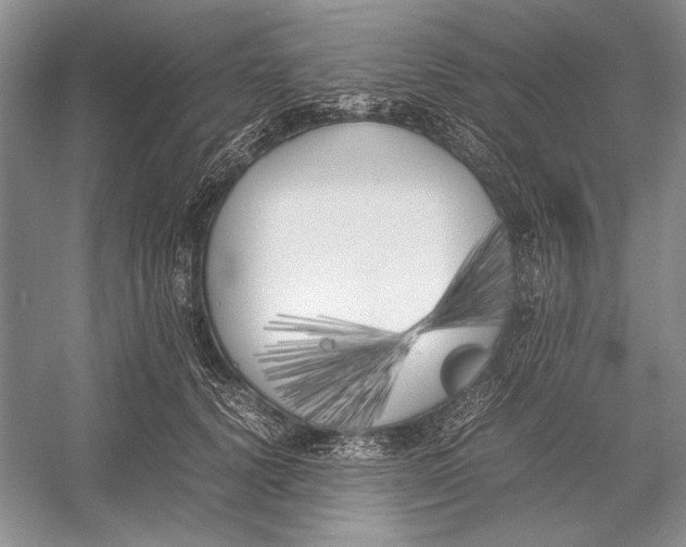 X0000052970656200508051016