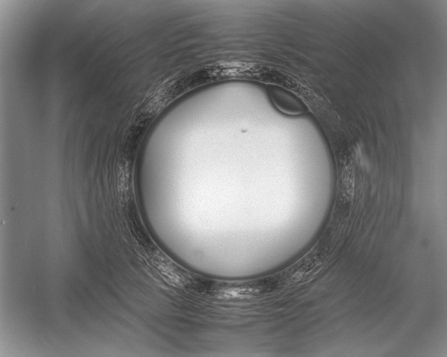 X0000052970657200508051016