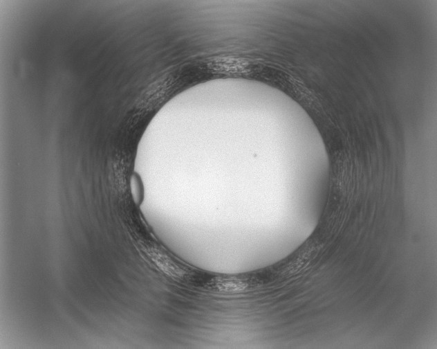 X0000052970658200508051016