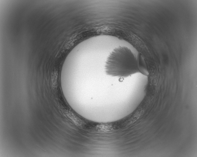 X0000052970660200508051016