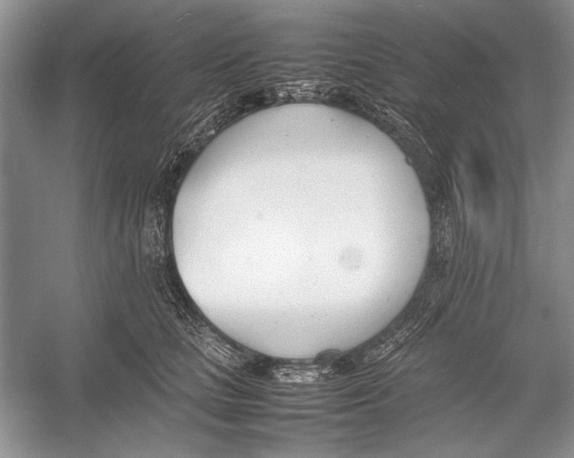 X0000052970661200508051016