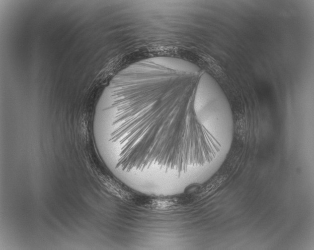 X0000052970662200508051016