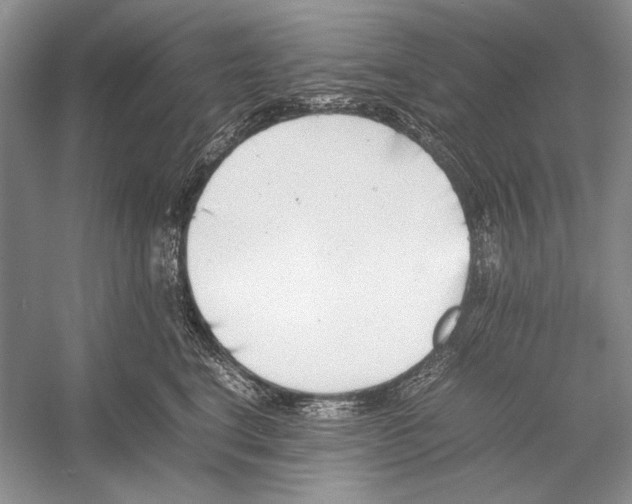 X0000052970664200508051016