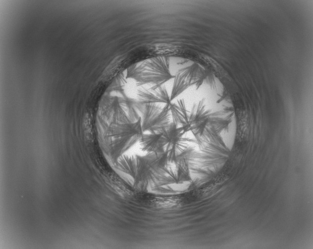 X0000052970667200508051016