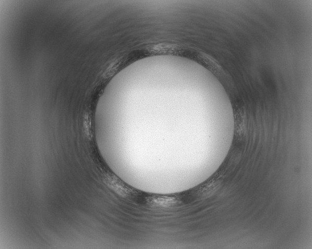 X0000052970669200508051016